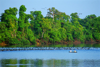 Reserva Nacional Pacaya Samiria ©Terra Incógnita